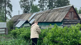 С 1 мая на теплицы вводится запрет: приняли решение для всех россиян, у кого есть дача или участок - новые штрафы