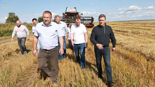 На Вологодчине в 2024 году рассчитывают получить 180 тысяч тонн зерна