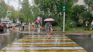 В Вологде ожидаются прохладная атмосфера и летние дожди