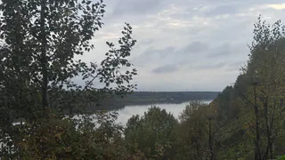 В Вологодской области 15 сентября погода изменится: ожидается до +17°C и дожди