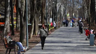 В парке Ветеранов в Вологде установят колесо обозрения высотой 40 метров