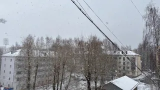 Прогноз погоды в Вологодской области на 23 декабря: мороз и снег