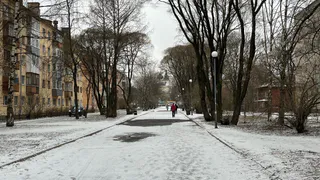 Прогноз погоды в Вологодской области на 15 февраля