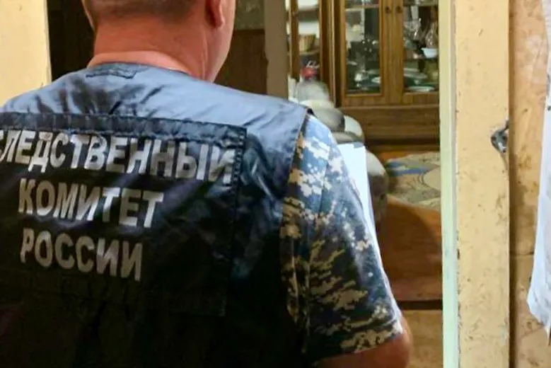 В Вологодской области пьяная рецидивистка в гостях убила мужа и ранила знакомого