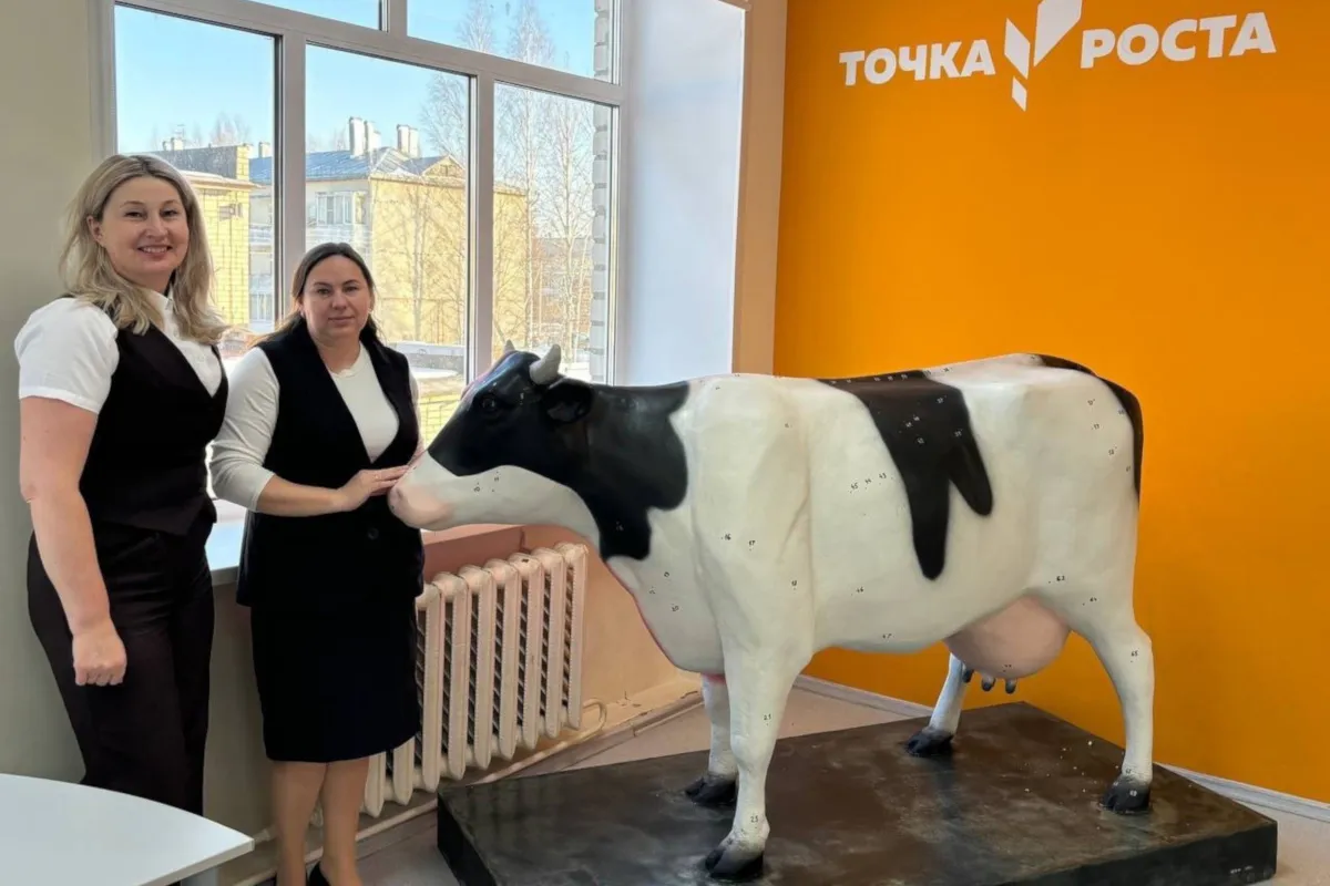 Новый анатомический макет коровы появился в агроклассе одной из школ Вологодской области