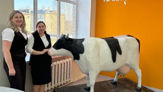 Новый анатомический макет коровы появился в агроклассе одной из школ Вологодской области