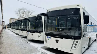 В Вологодской области завершили обновление автобусного парка по плану 2025 года