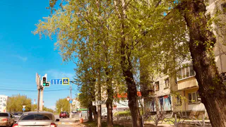 Прогноз погоды на лето: обновлённые данные синоптиков