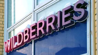 Ни комаров, ни духоты: 3 причины, почему эта сетка с Wildberries лучше обычной москитки