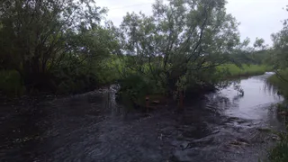 В Вологодской области разыскивают утонувшего на сапборде