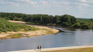 В Вологодской области ожидается почти 30-градусная жара