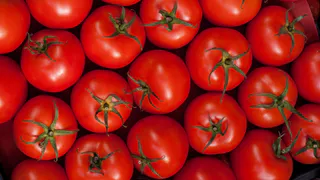 Лучшие сорта мясистых, «арбузных» томатов: шесть вариантов на следующий год
