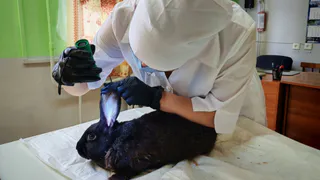 В Вологодской области завершилась серия демонстрационных экзаменов для студентов колледжей и техникумов