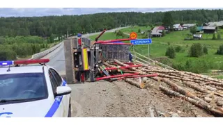 Лесовоз опрокинулся на трассе в Вологодской области