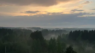 14 июня Вологодскую область накроют грозы и шквалистый ветер