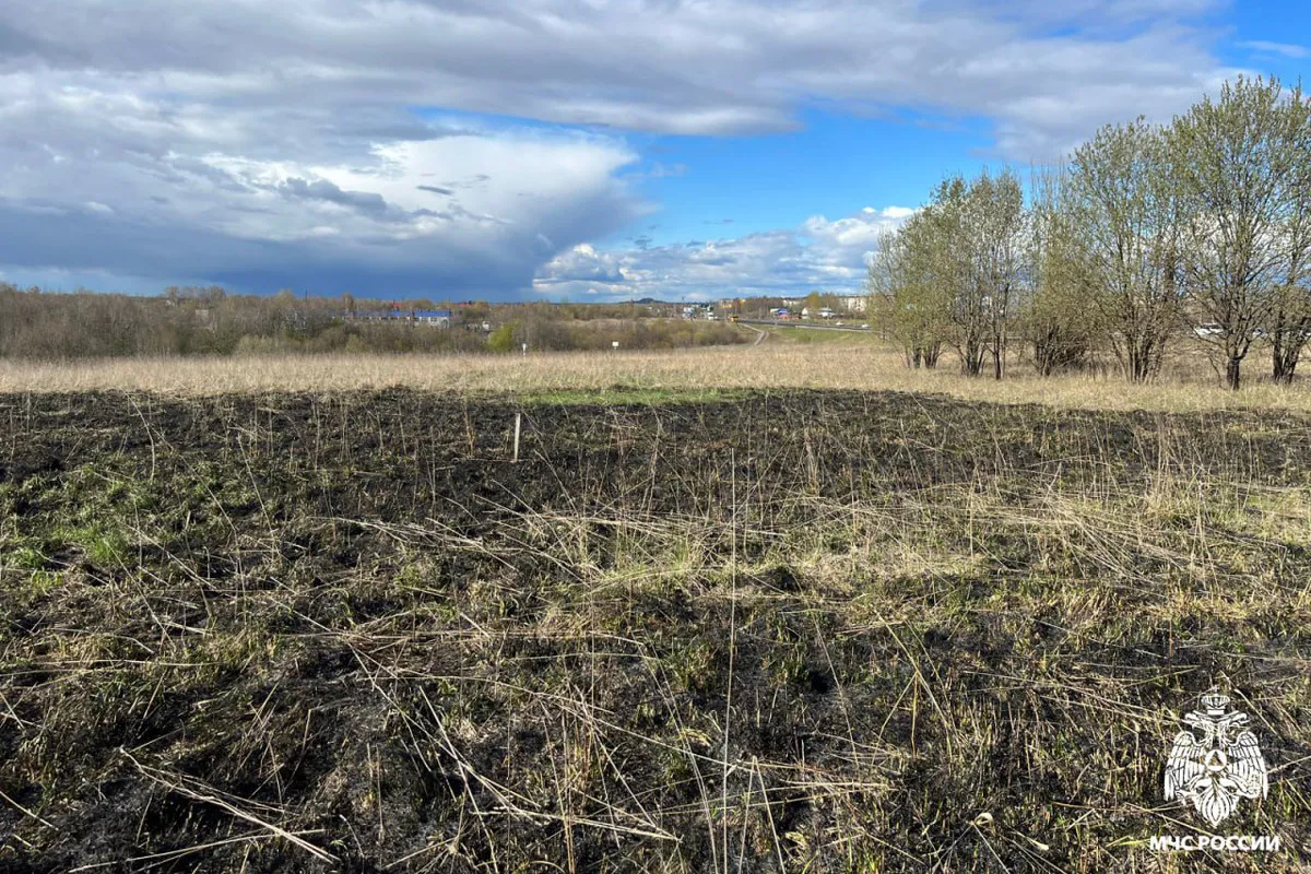 В Вологодской области шестеро пожарных боролись с огнем, охватившим сухую траву