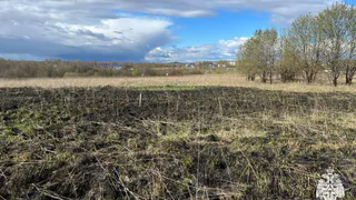 В Вологодской области шестеро пожарных боролись с огнем, охватившим сухую траву