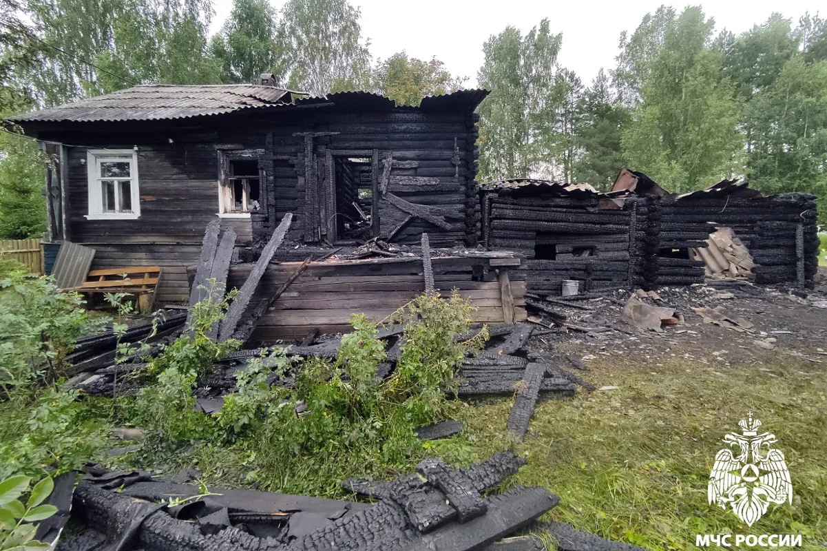 Отец с сыном спаслись из загоревшегося в Вологодской области дома