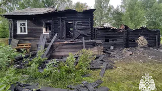 Отец с сыном спаслись из загоревшегося в Вологодской области дома