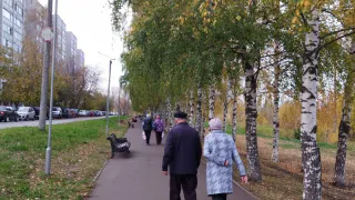 Указ уже подписали: Пожилых граждан в возрасте от 59 до 83 лет ожидает приятный сюрприз с 1 сентября