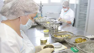 Вологодская черная икра премиум-класса экспортирована в Иорданию
