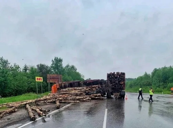 На Вологодской трассе лесовоз перевернулся в кювет