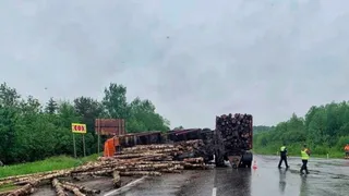 На Вологодской трассе лесовоз перевернулся в кювет