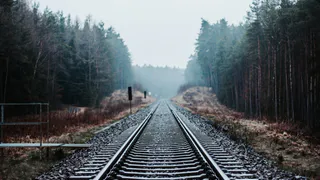 Старушка с верхней полки превратила завтрак в кошмар для пассажиров: оборотная сторона правил в поездах РЖД