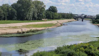 Жители Вологды обеспокоены обилием тины и кувшинок в местной реке