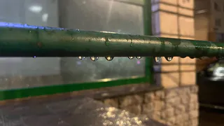В Вологодской области 18 апреля ожидается потепление до +21°C