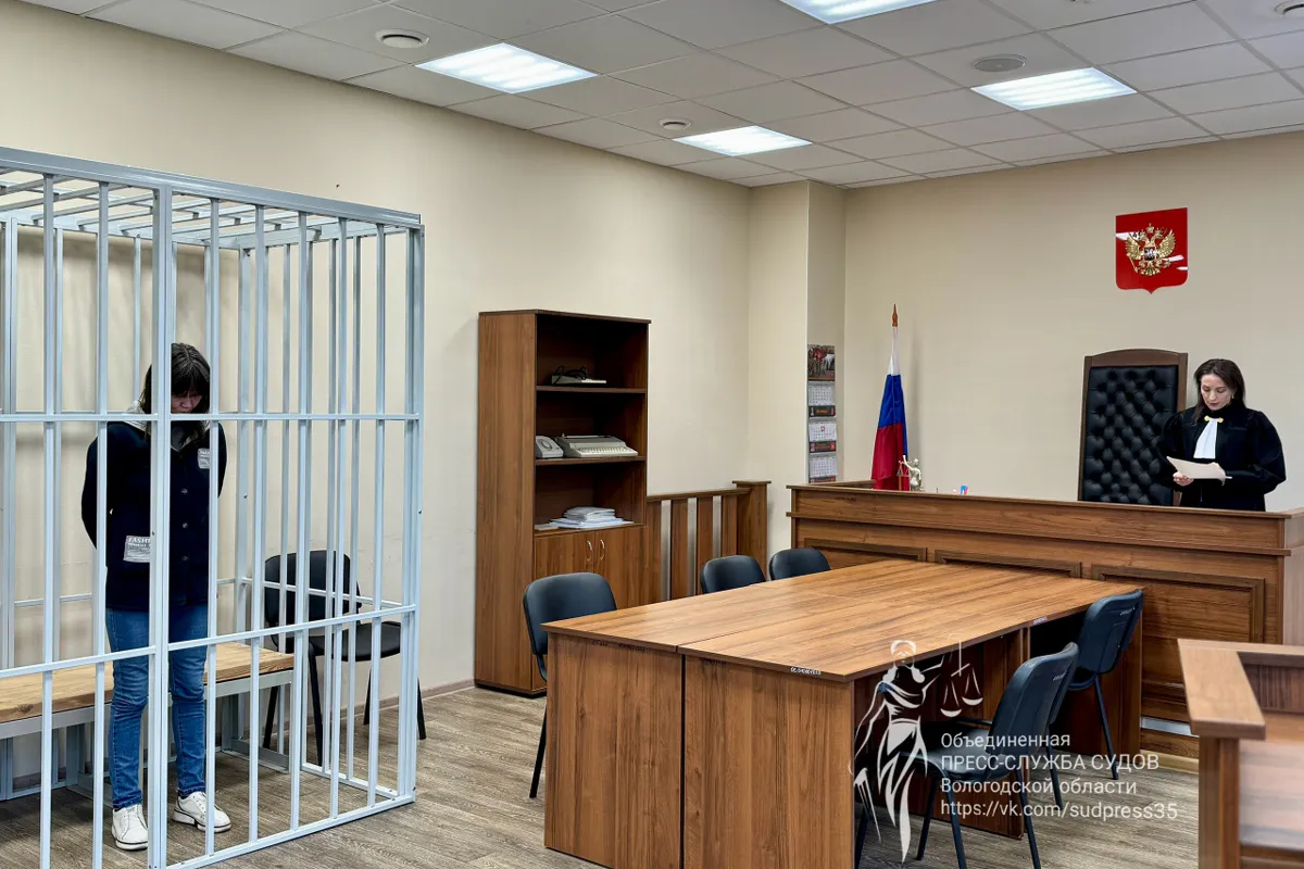 Суд в Вологодской области вынес приговор женщине, нанесшей ножевое ранение инвалиду