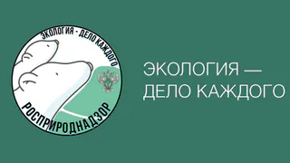 В Вологде наградили юных победителей Международной детско-юношеской премии «Экология – дело каждого»