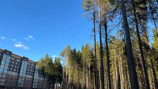 Прогноз погоды на 2 мая в Вологодской области: жителей региона ждут солнце и легкий ветер