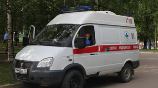 Каждые сутки в Вологде и её окрестностях наносится по 10 – 15 черепно-мозговых травм