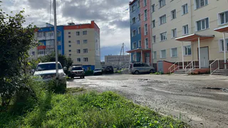 Прогноз погоды на май–декабрь: похолодание на праздниках и жара летом