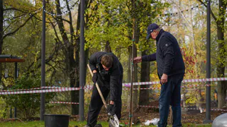 Подрядчик высадит около 130 деревьев в Кремлёвском саду Вологды