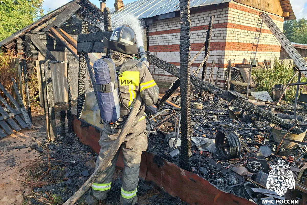 Пенсионер пострадал при пожаре в Вологодской области, пытаясь спасти хозяйственные постройки