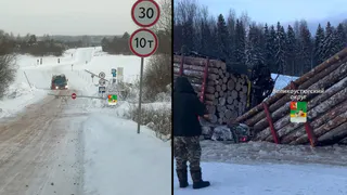 Груженый лесовоз разрушил ледовую переправу в Вологодской области