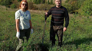 Тысячи сосен высаживают в Вологодской области участники акции "Сохраним лес"