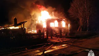 В Вологодской области сгорел дом и унёс жизнь хозяина