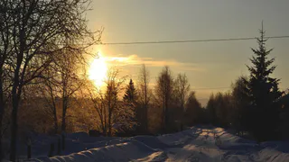 Аномальное тепло нагрянет в марте: лето наступит на два месяца раньше
