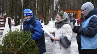 В Вологде более 730 елей переработано в рамках акции «дЕльный круговорот»