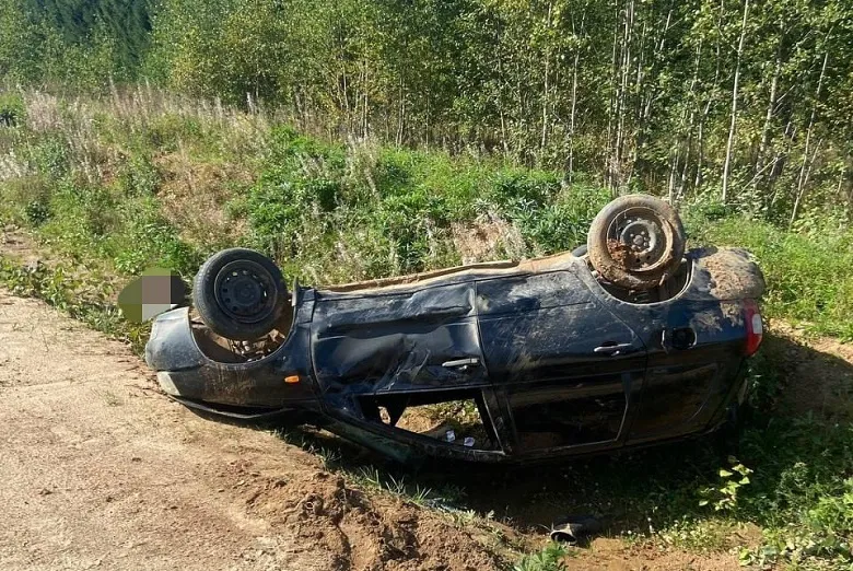 В Вологодской области произошло смертельное ДТП