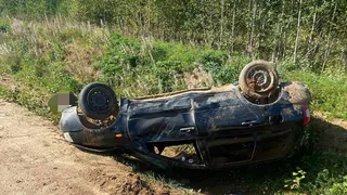 В Вологодской области произошло смертельное ДТП