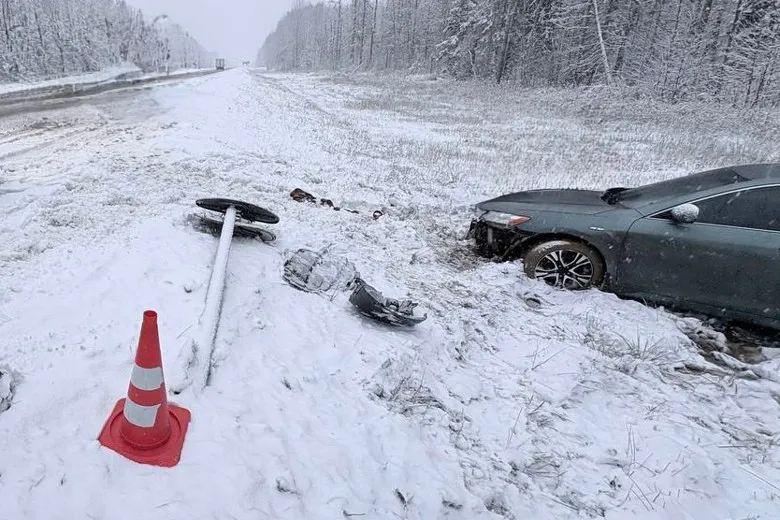 В Вологодской области водитель иномарки не справился с управлением и отправился в кювет