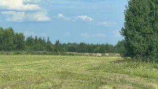 В Череповецком районе можно арендовать гектар земли всего за 145 рублей в год