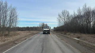 В Вологодской области вновь произошло смертельное ДТП
