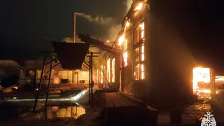 В Вологодской области 14 пожарных потушили крупный пожар на предприятии деревообработки