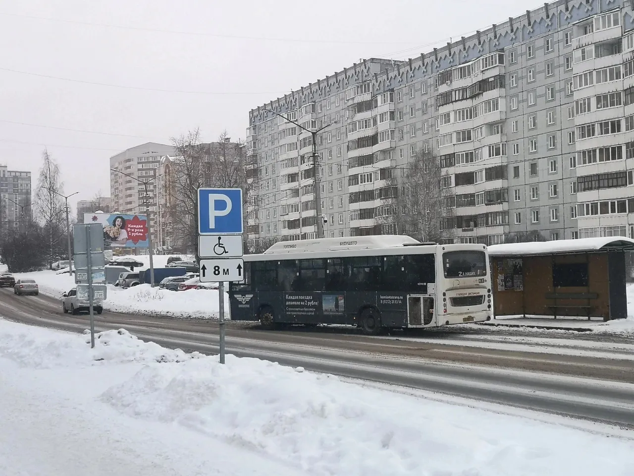 Прогноз погоды в Вологодской области: холода и небольшой снег