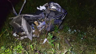 В Вологодской области на трассе в ДТП с лосем погиб 17-летний юноша